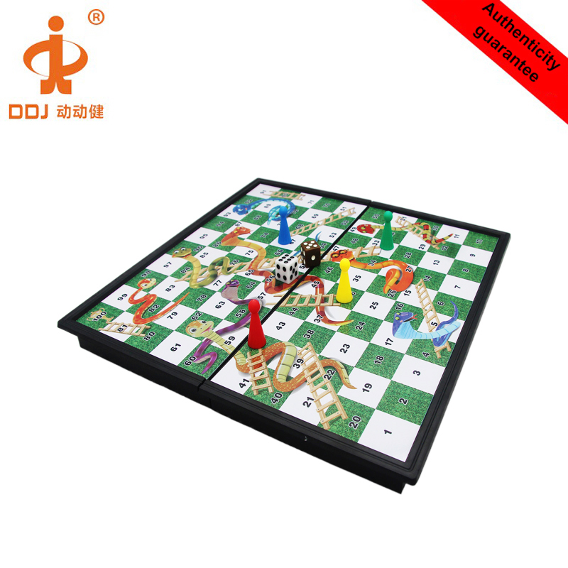 Magnetic Snakes And Ladders