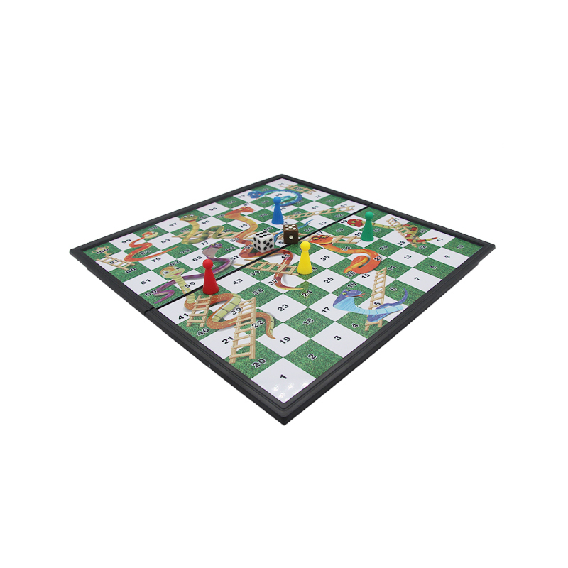 Magnetic Snakes And Ladders