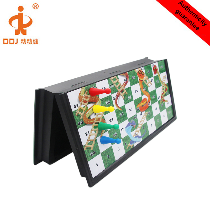 Magnetic Snakes And Ladders