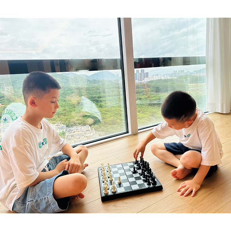 Folding Magnetic Black And White Chess Set